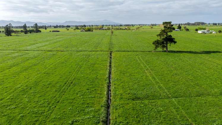 118 + 119 Wharepoa Road Netherton_12