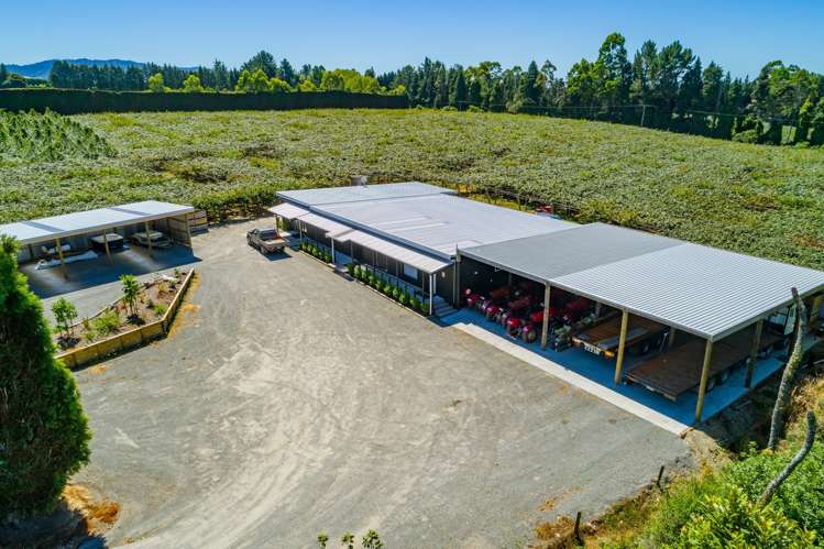 917 Te Matai Road Te Ranga_5