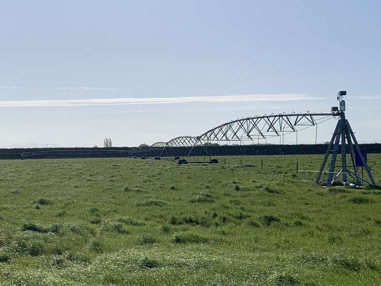 1267 Leeston Road Leeston_21