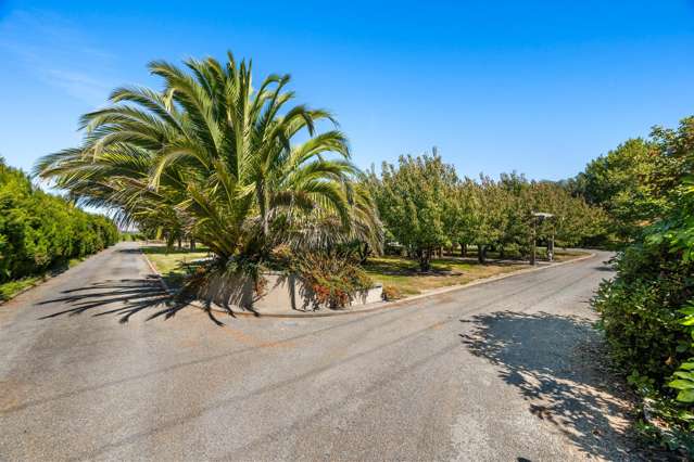 Prime Location - Exquisite Home And Surroundings