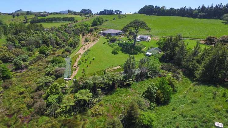 53d Woodland Road Hauraki Surrounds_12