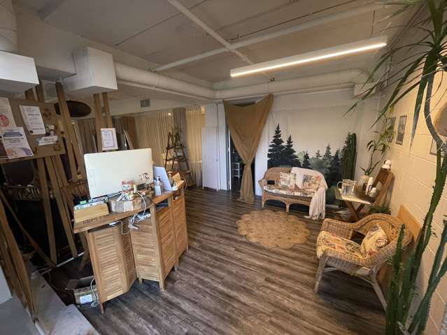 9/4 Williamson Ave Grey Lynn_2