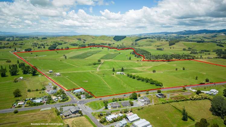 165 and 244 State Highway 25 Waitakaruru_9