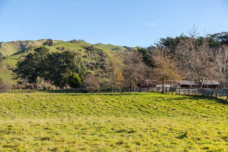 803 Norfolk Road Carterton_15