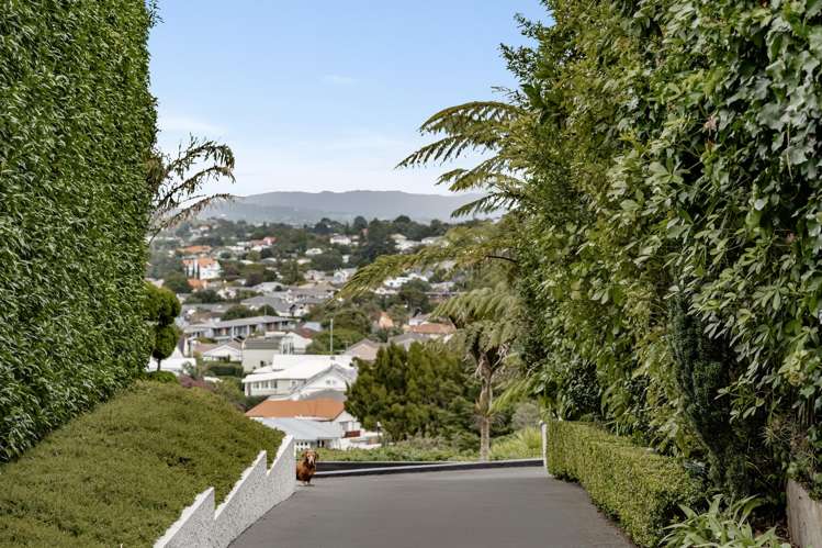 7 Fern Avenue Epsom_28