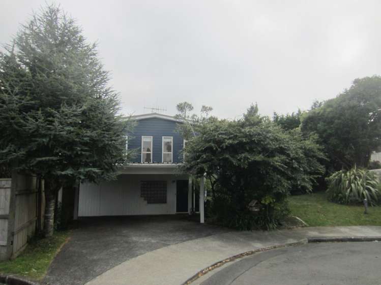 12 Florio Terrace Tawa_0