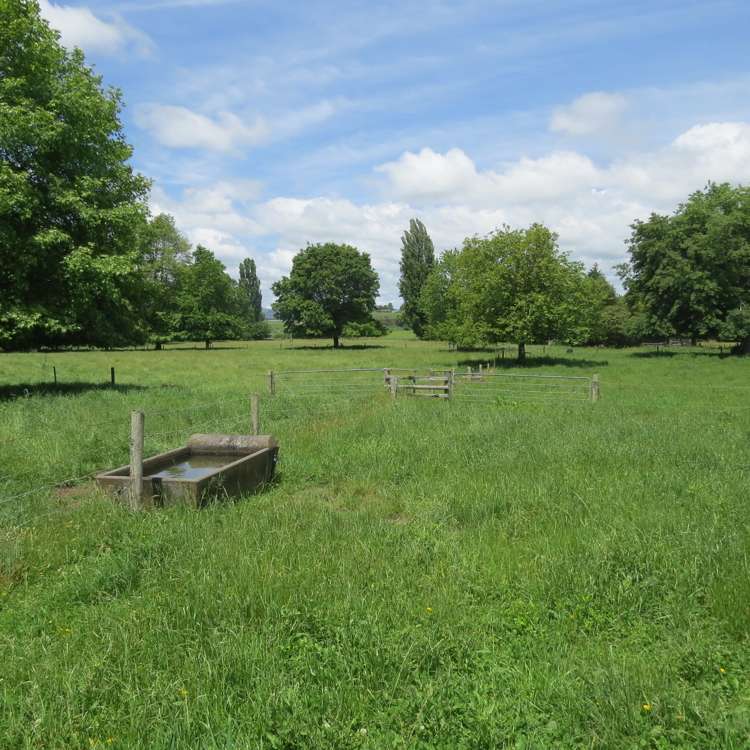 Whawharua Road Otorohanga_9