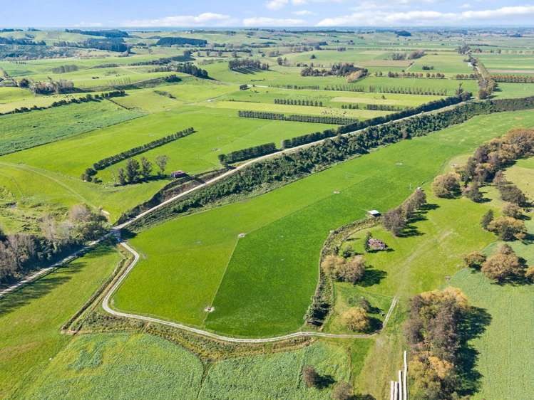 243 Matthew Road Temuka_5