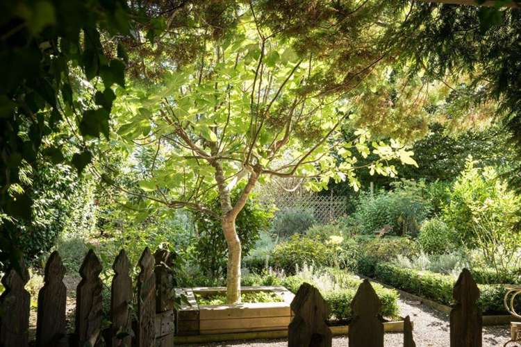 19 Jellicoe Street Greytown_17