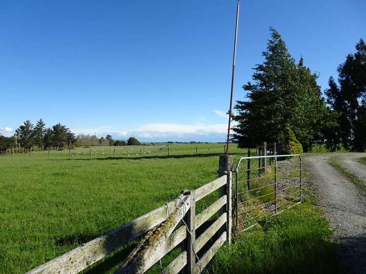 295 Kelvin Road Gore Surrounds_17