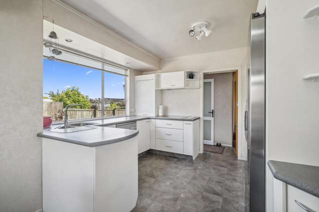 8 Leslie Street Tauhara_3