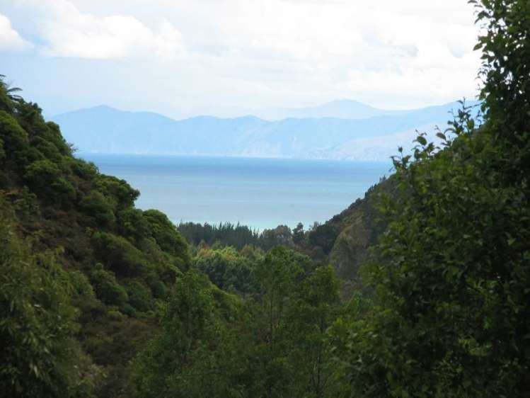 351 Harvey Road Marahau_14