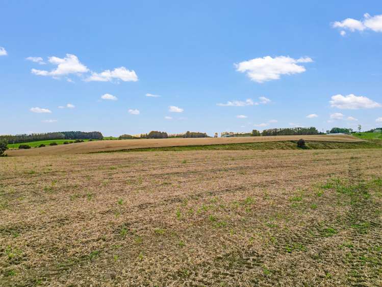 Kemp Road Otama Riversdale_11