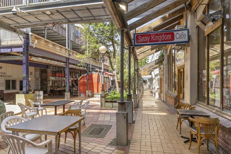 231c/21 Left Bank Te Aro_9