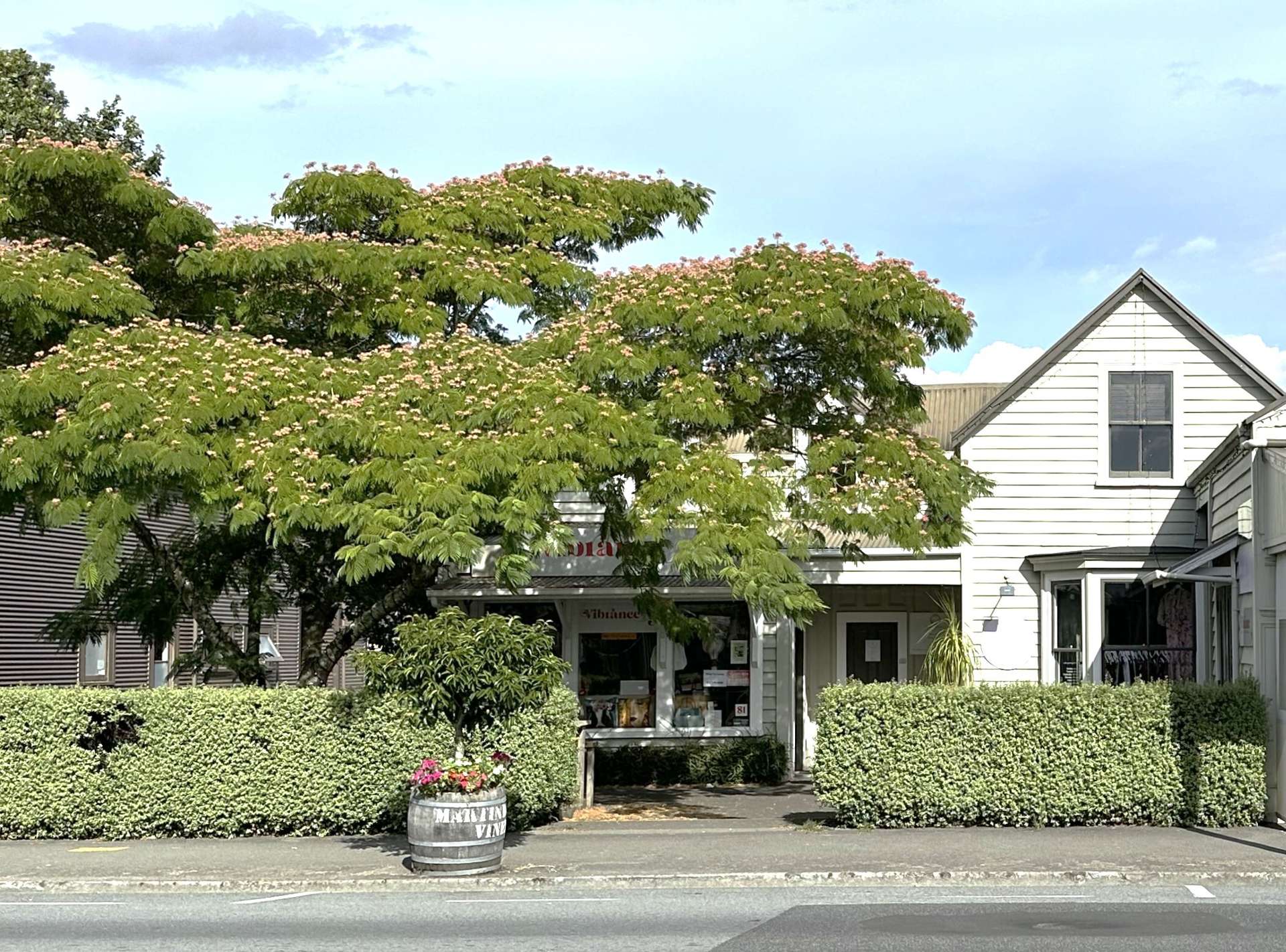 81 Main Street Greytown_0