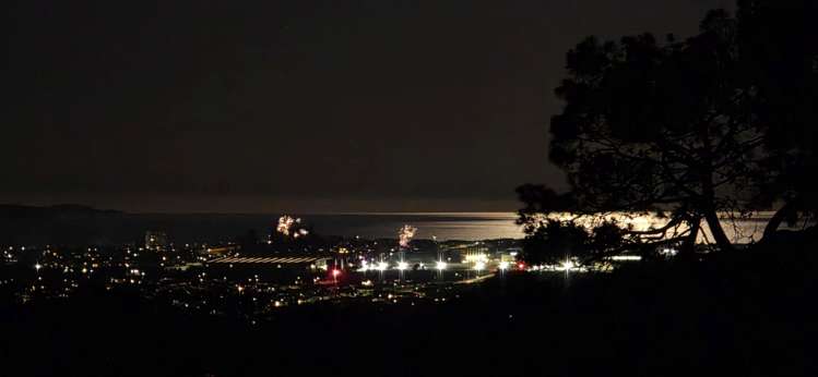 202 Kahikatea Flat Road Dairy Flat_25