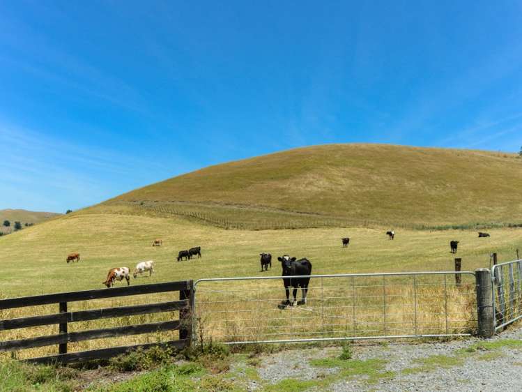 360 Valley Road Central Hawkes Bay Coastal_5