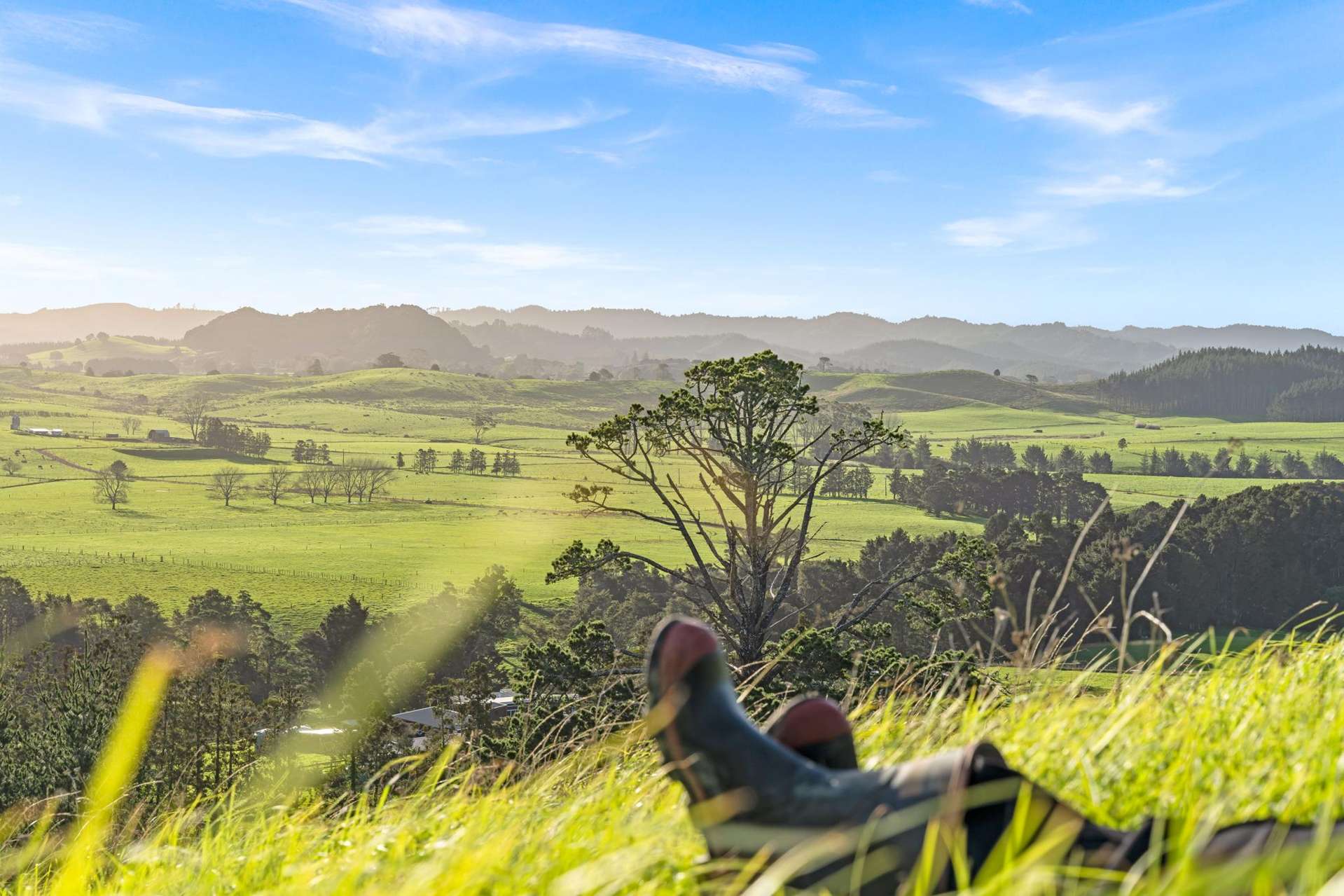 810A Whareora Road Whareora_0