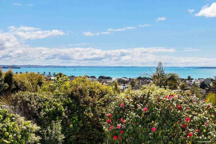 21 Edmund Street Saint Heliers_8