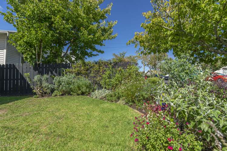 9 Douglas Road Mount Eden_18