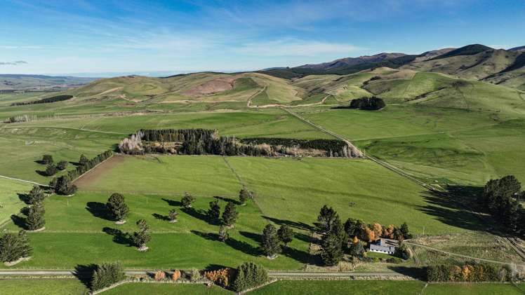 205B Dunrobin Valley Road Dunrobin_11