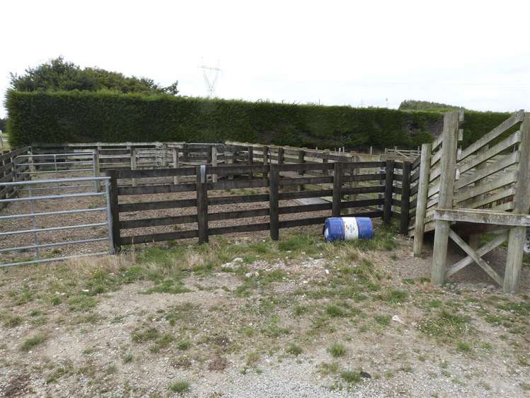 219 Robertson Road Winton Surrounds_20