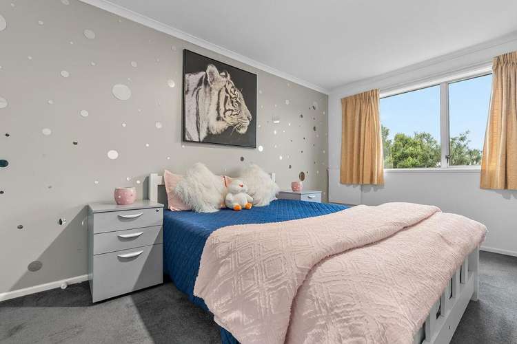 115B Neplusultra Street Cromwell_9