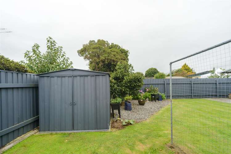 14 Aitken Street Bulls_30