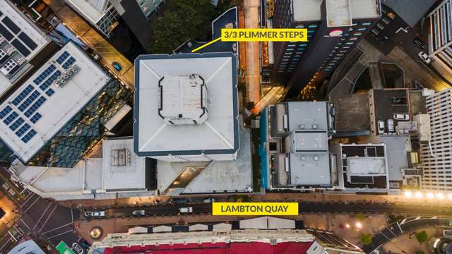 202-3 Plimmers Steps Wellington Central_1