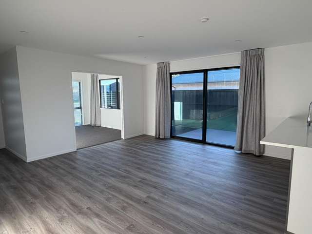 176 Lady Isaac Drive Rolleston_3