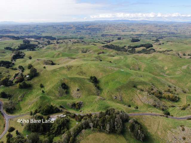 Oparure Road Te Kuiti_2