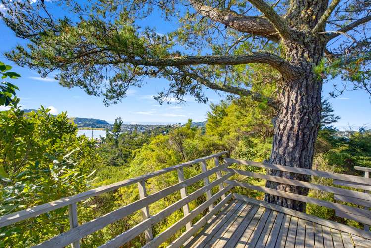 64 Hinemoa Terrace Tairua_6