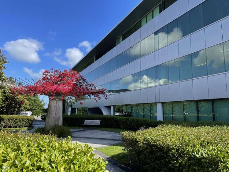 74 Taharoto Avenue Takapuna_8