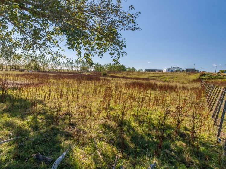 65 Grace Street Sanson_15