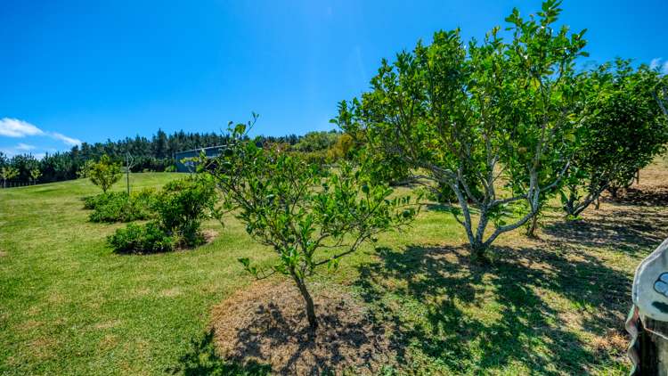 353 Rangiputa Road Karikari Peninsula_88