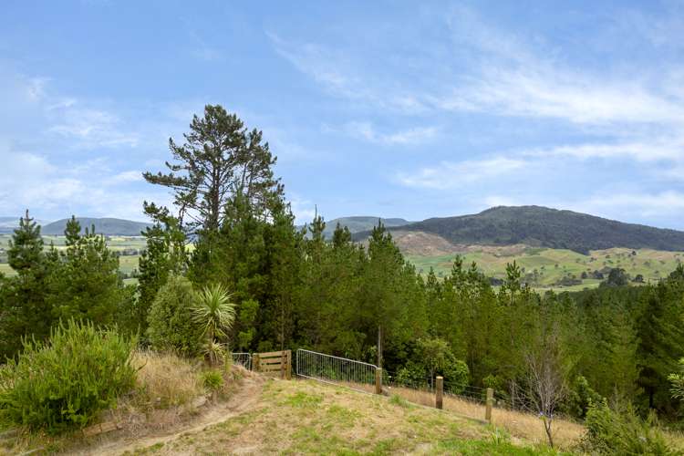 213 Forest Road Oruanui_29