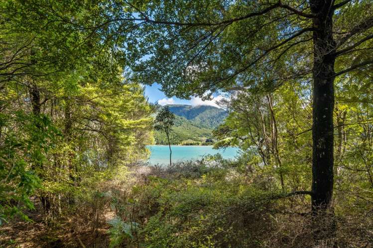 14 St Omer Road St Omer_16