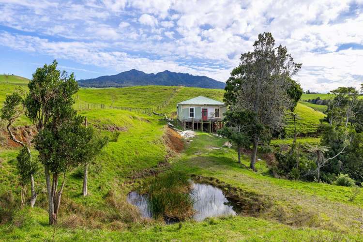 62 Cornes Road Raglan_15