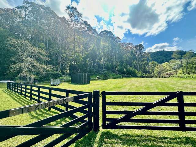 Bush retreat minutes from Ballance Street