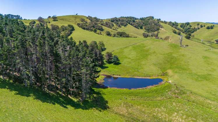 191A Fryer Road Kaitaia_11