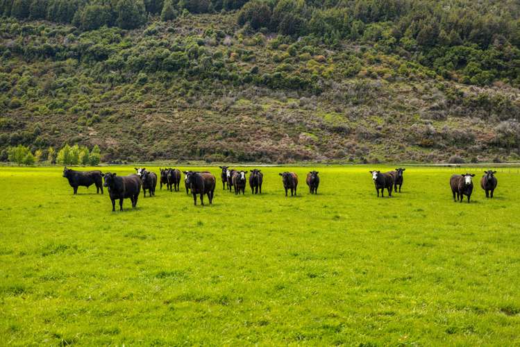 Priory Farm Block, Glenorchy-Routeburn Road Glenorchy_3