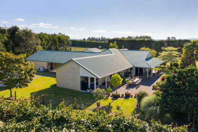 A Perfectly Presented Kiwifruit Orchard