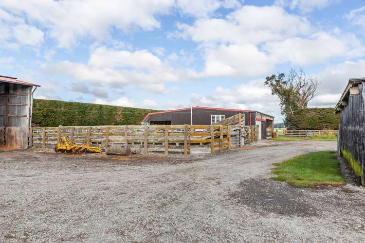 589 Coutts Island Road Coutts Island_16