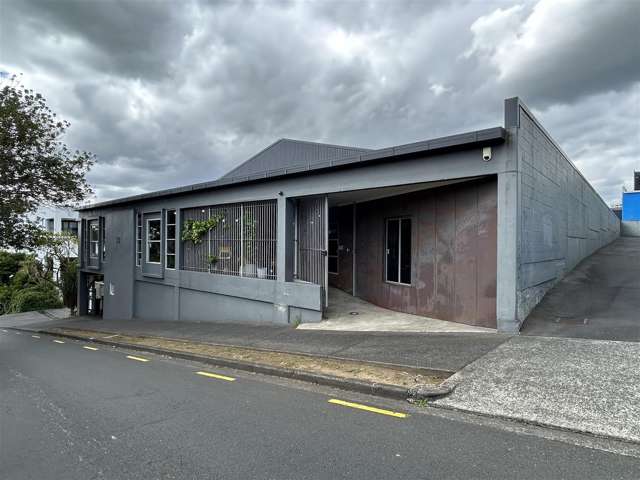 21 Scanlan Street Grey Lynn_1
