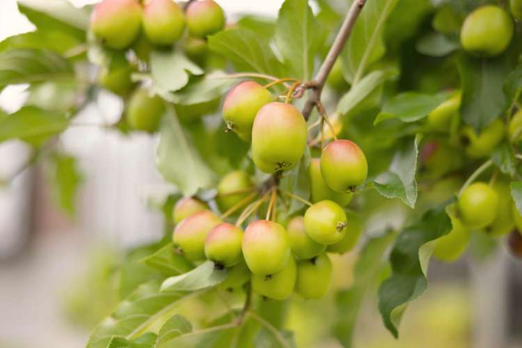 104 Waterside Drive Pyes Pa_35