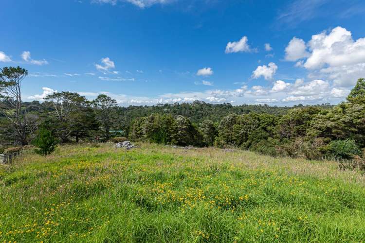 249e Wright Road Dairy Flat_10