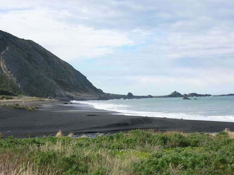 1 Mangatoetoe Grove Cape Palliser_10