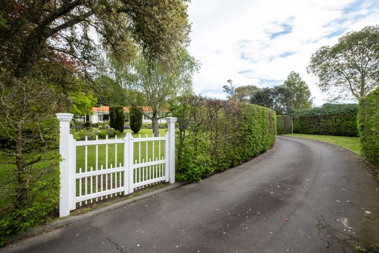 339 Seafield Road Eskdale_34