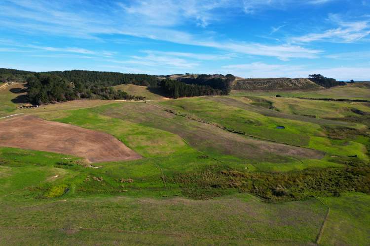 Babylon Coast Road Dargaville_9