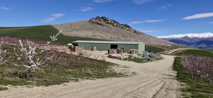 159 Thomson Gorge Road Cromwell_16